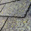 Roof Mold in Florida